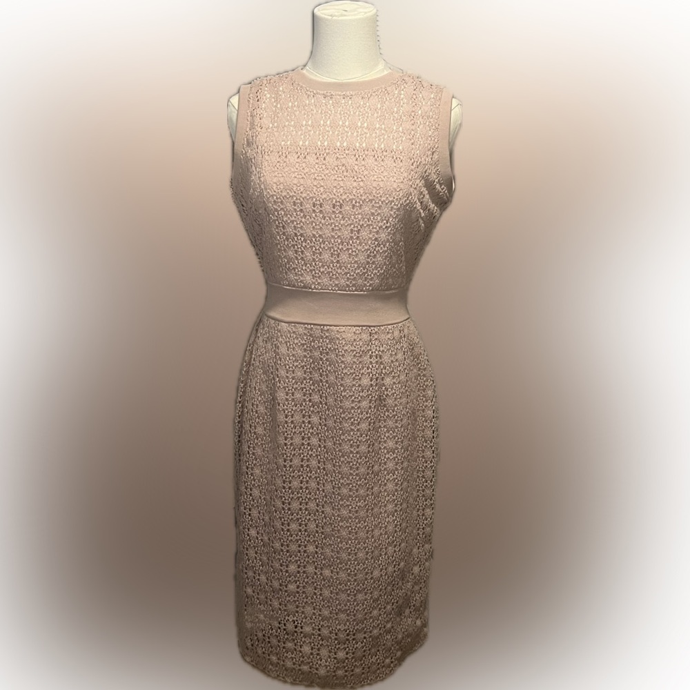 Taylor Blush Pink Dress